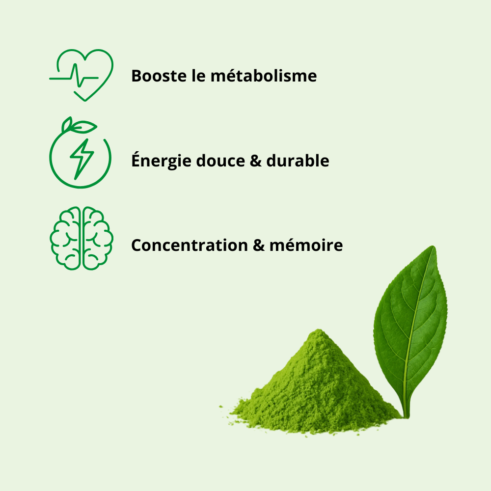 poudre de matcha avec 3 bénéfices